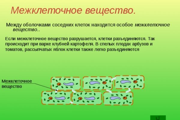 Кракен это известный маркетплейс